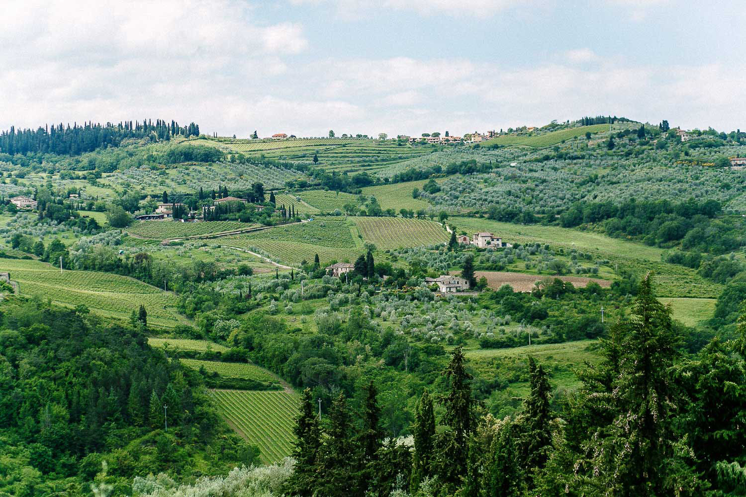 cerimonia e ricevimento per un matrimonio intimo nel chianti