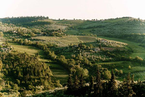 cerimonia e ricevimento per un matrimonio intimo nel chianti