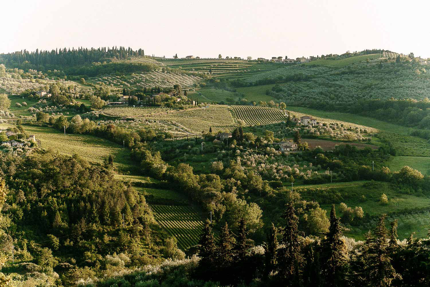cerimonia e ricevimento per un matrimonio intimo nel chianti