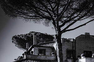 matrimonio a villa dei quintili a roma
