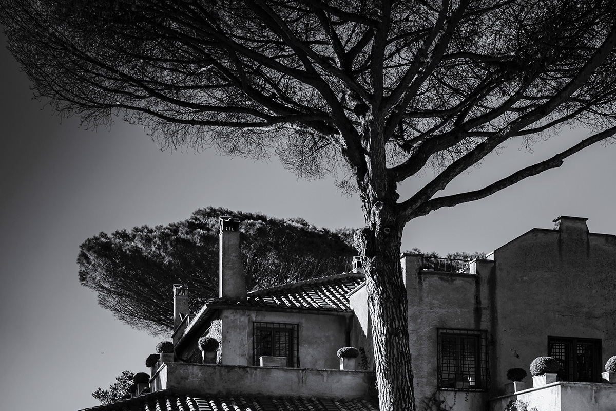 matrimonio a villa dei quintili a roma
